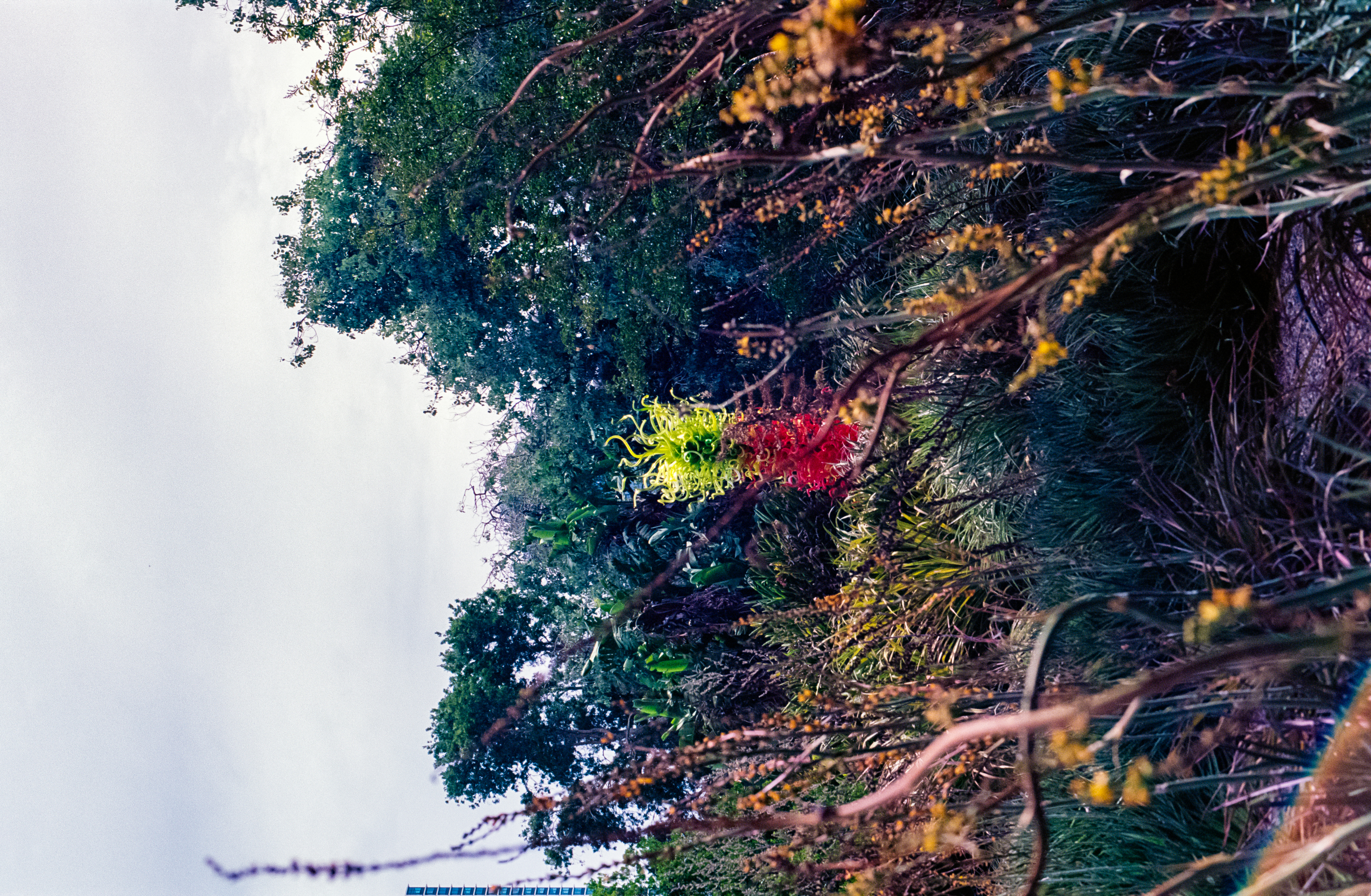 botanicalgardens