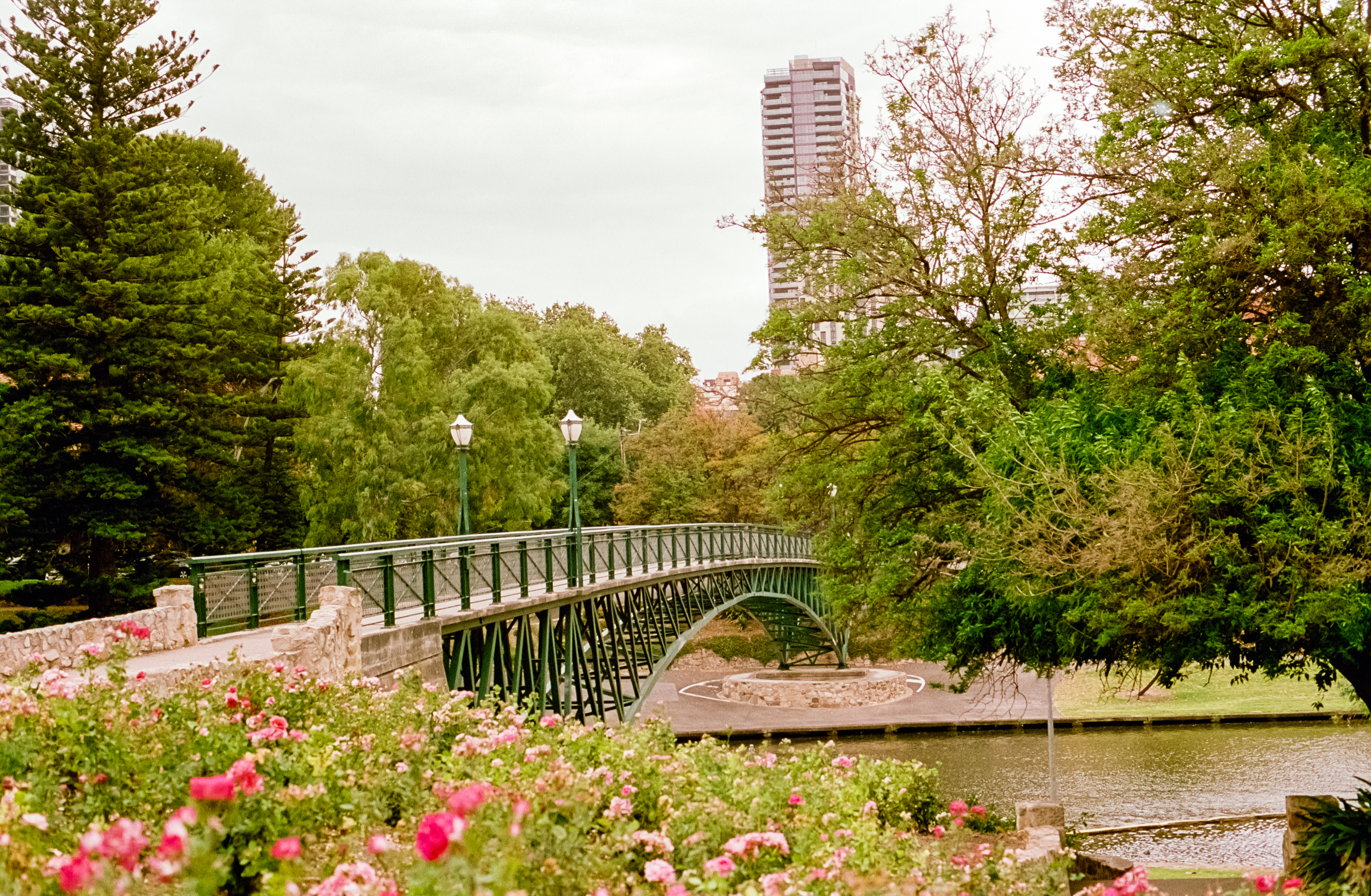 bridge