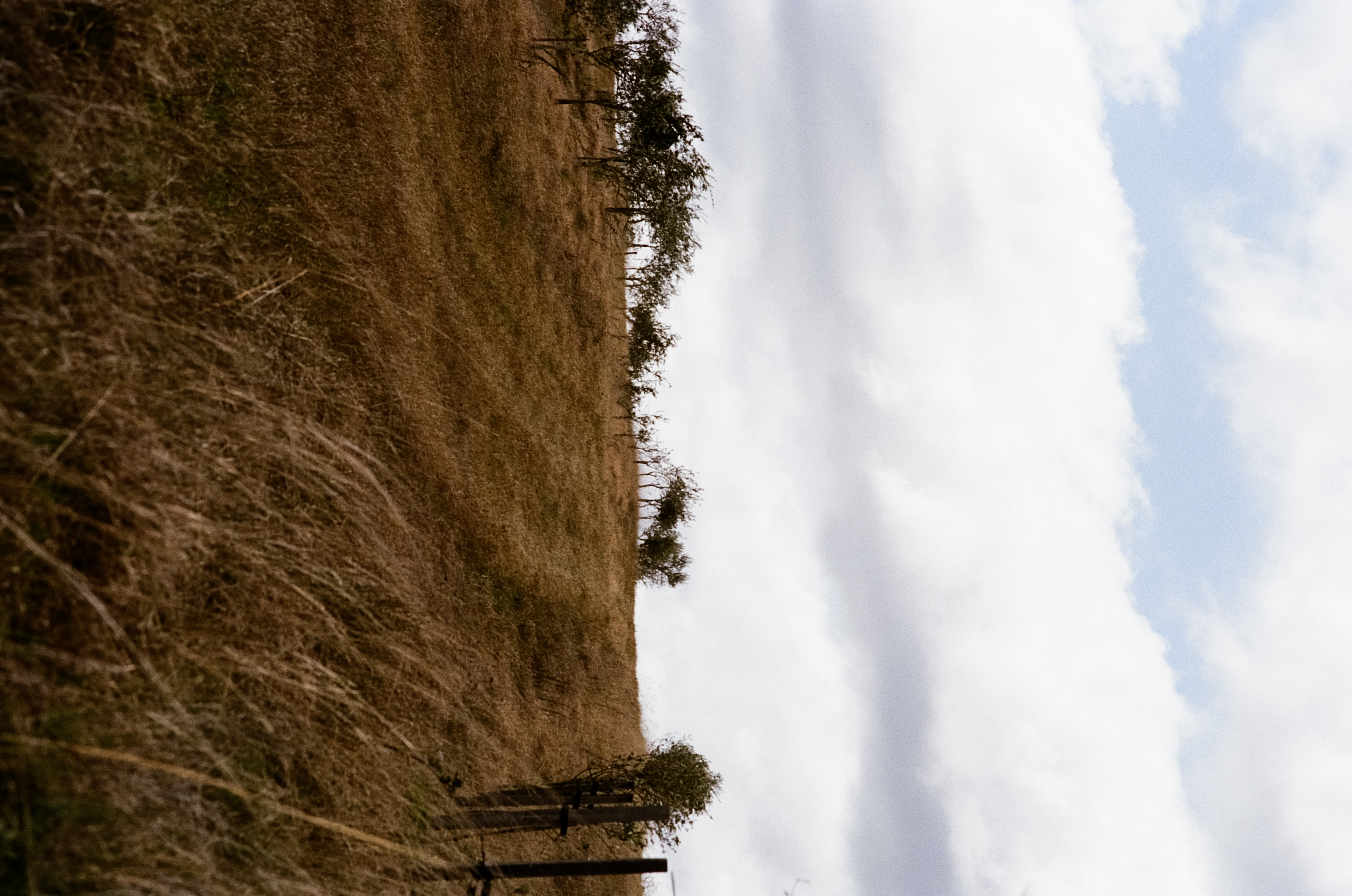 field