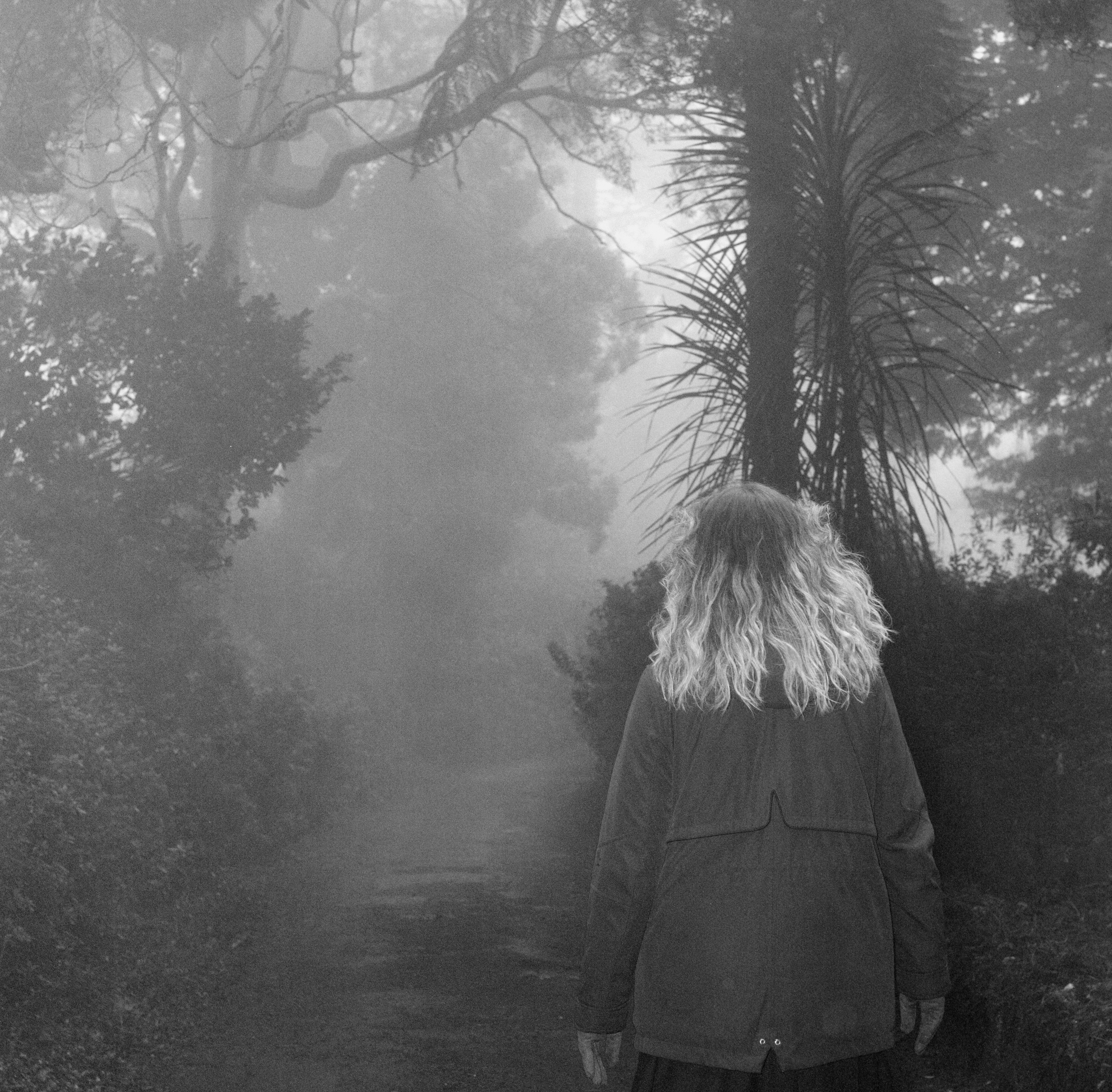 fog
