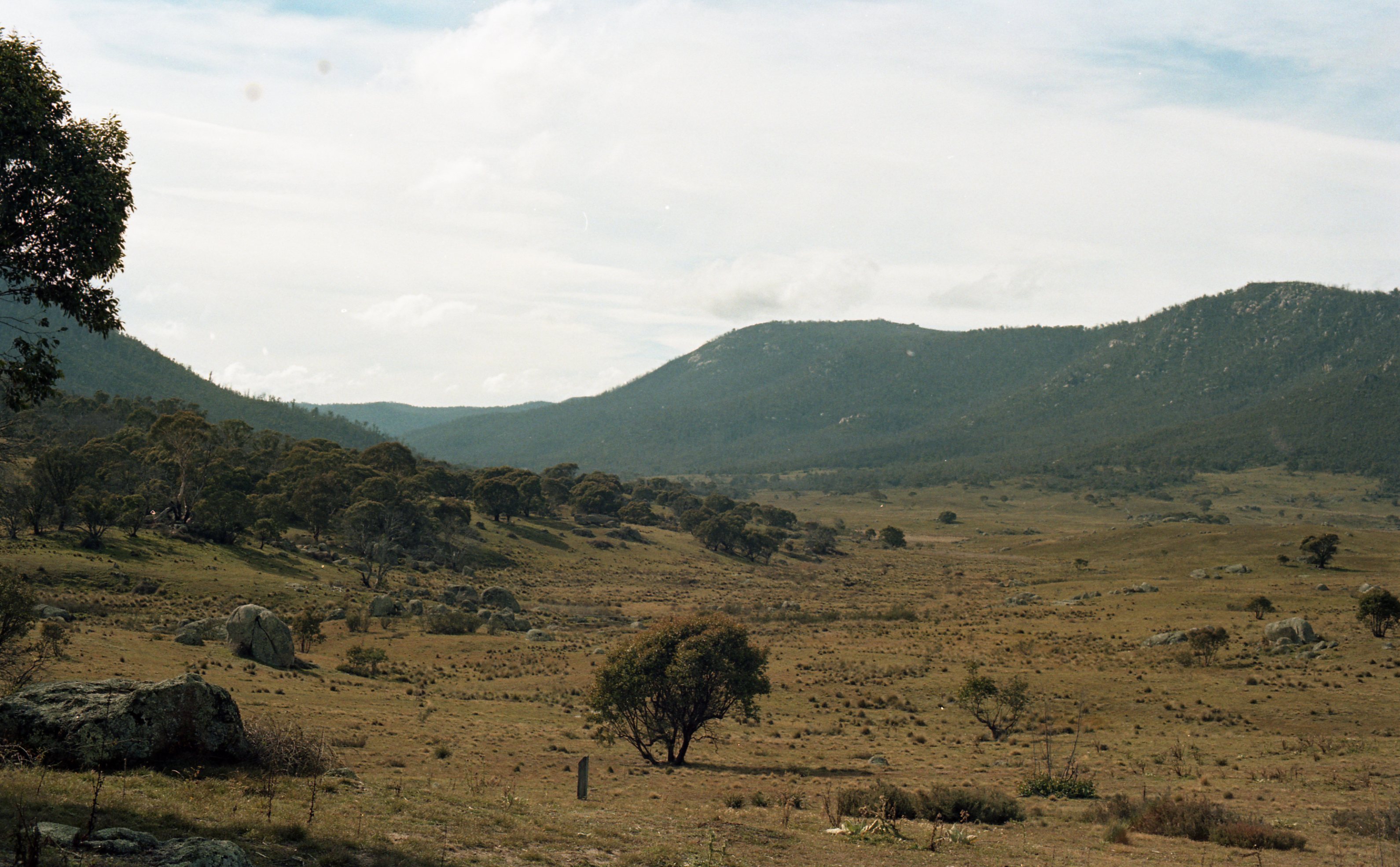 vista